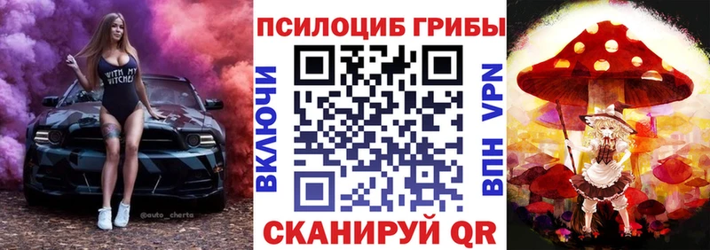 OMG как войти Ленинск Псилоцибиновые грибы Cubensis купить наркотик